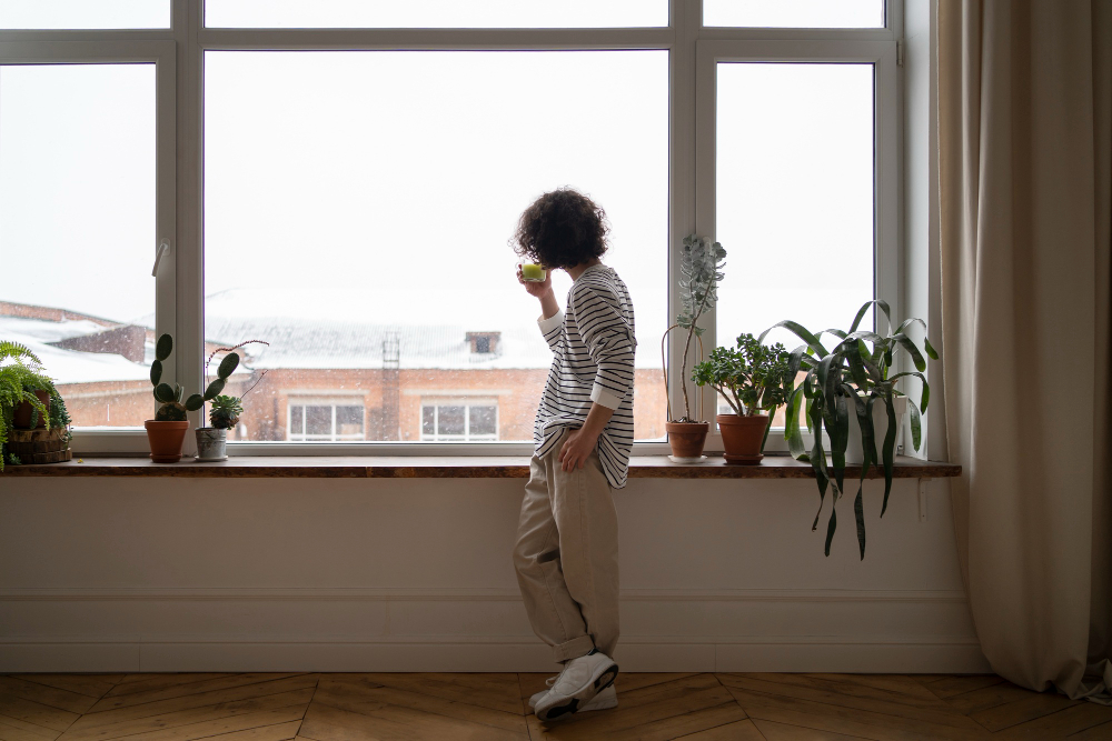 Window