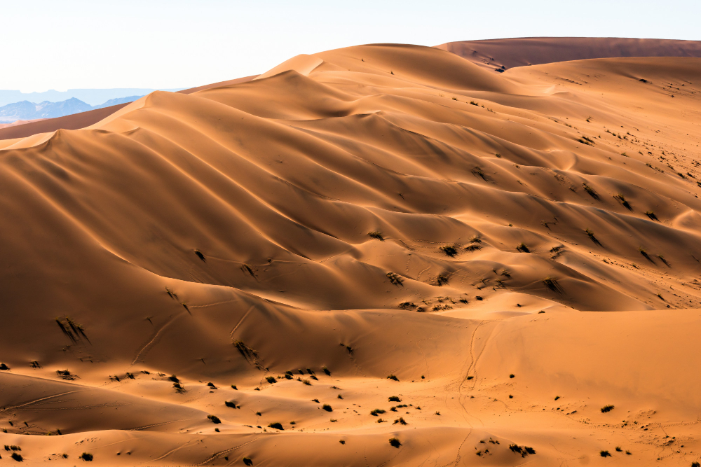 sand dunes
