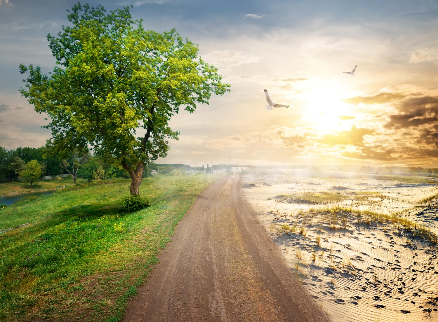 Nature