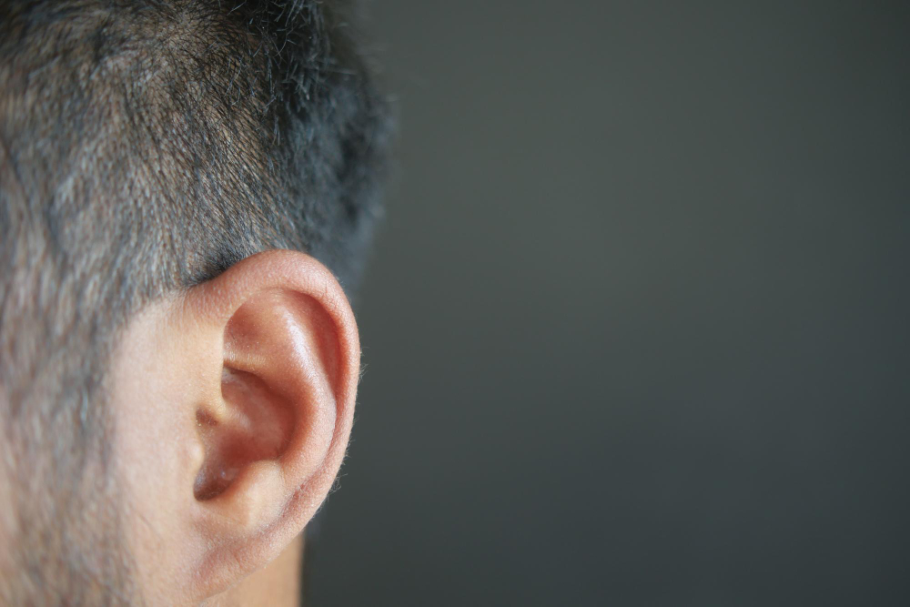 human ear
