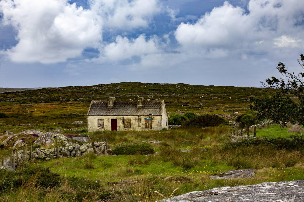 Landscape