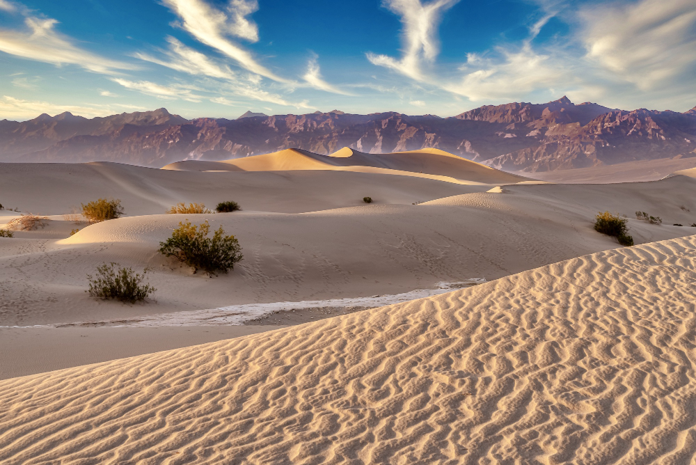 sand dunes