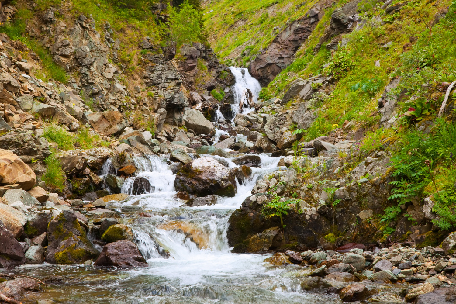 natural spring water