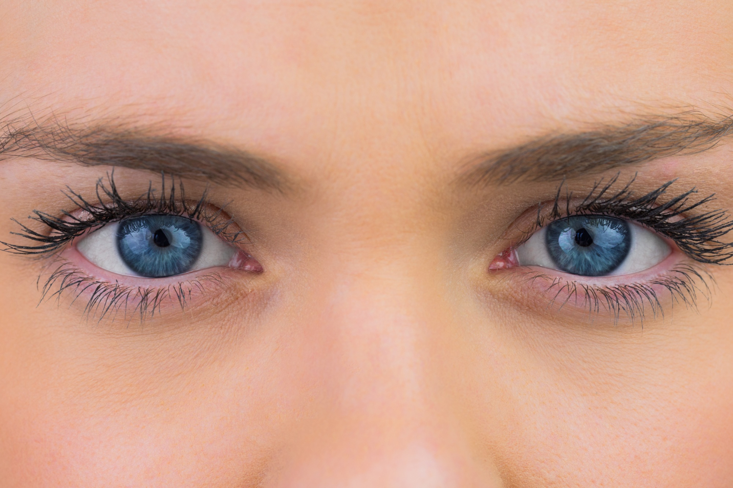 human eye close up