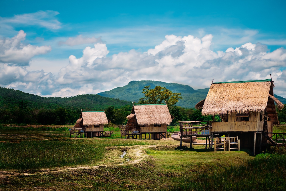 thatched roof