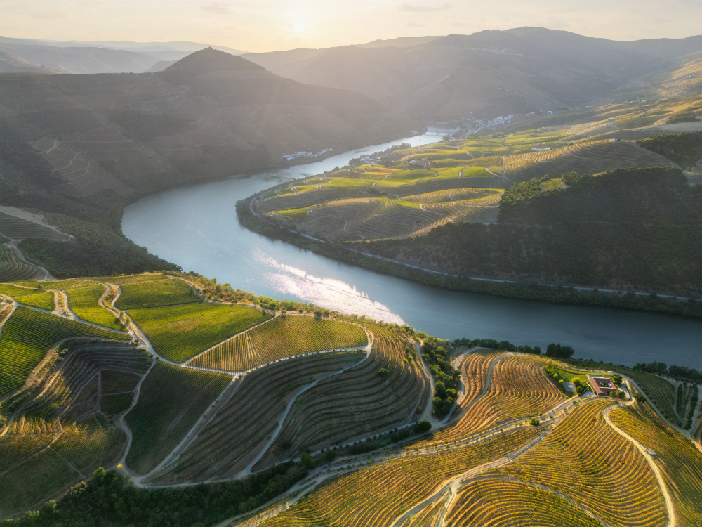 terraced hillside