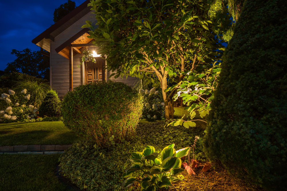 garden at night