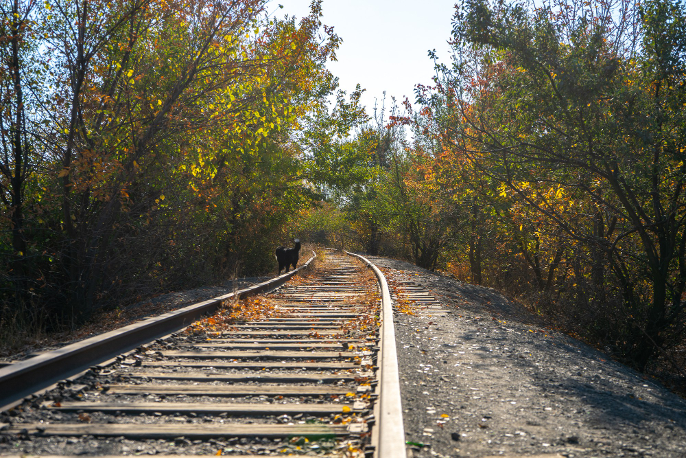 Railway
