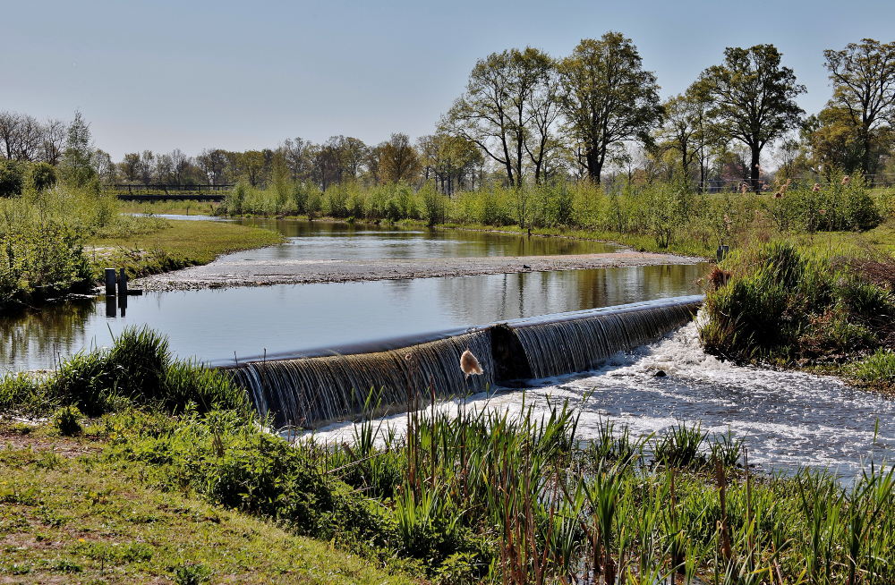 Weir