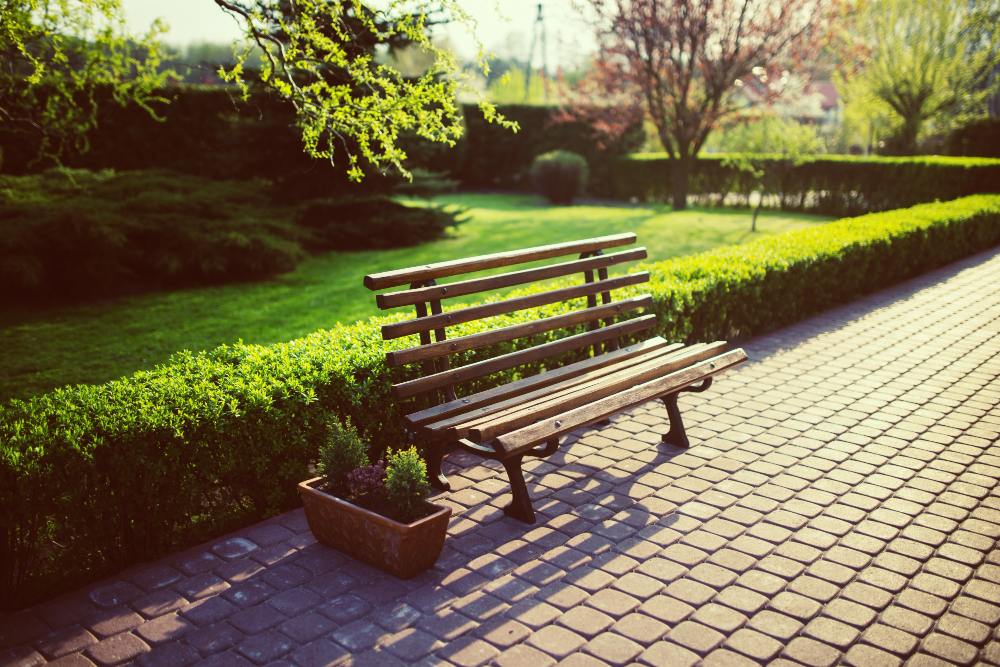 public park bench