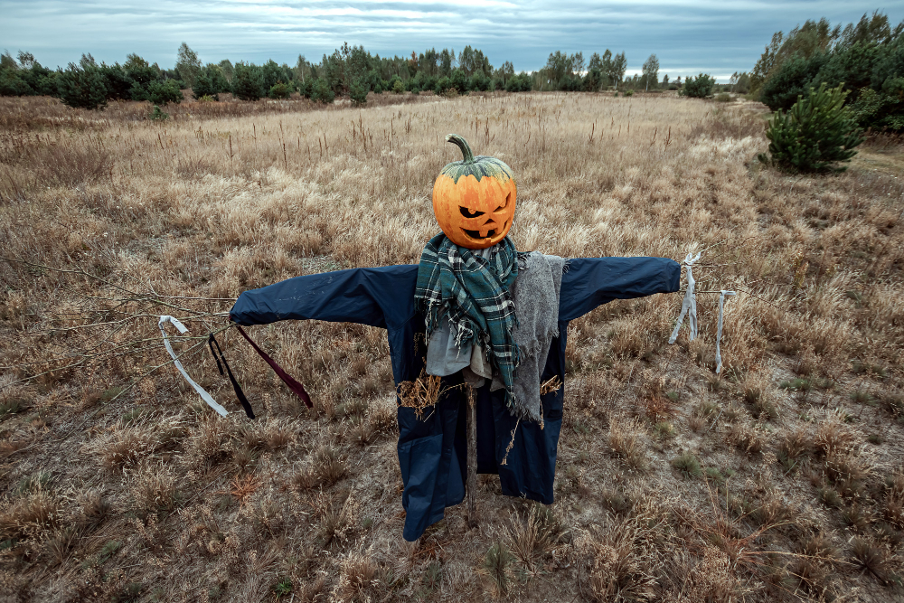 Scarecrow