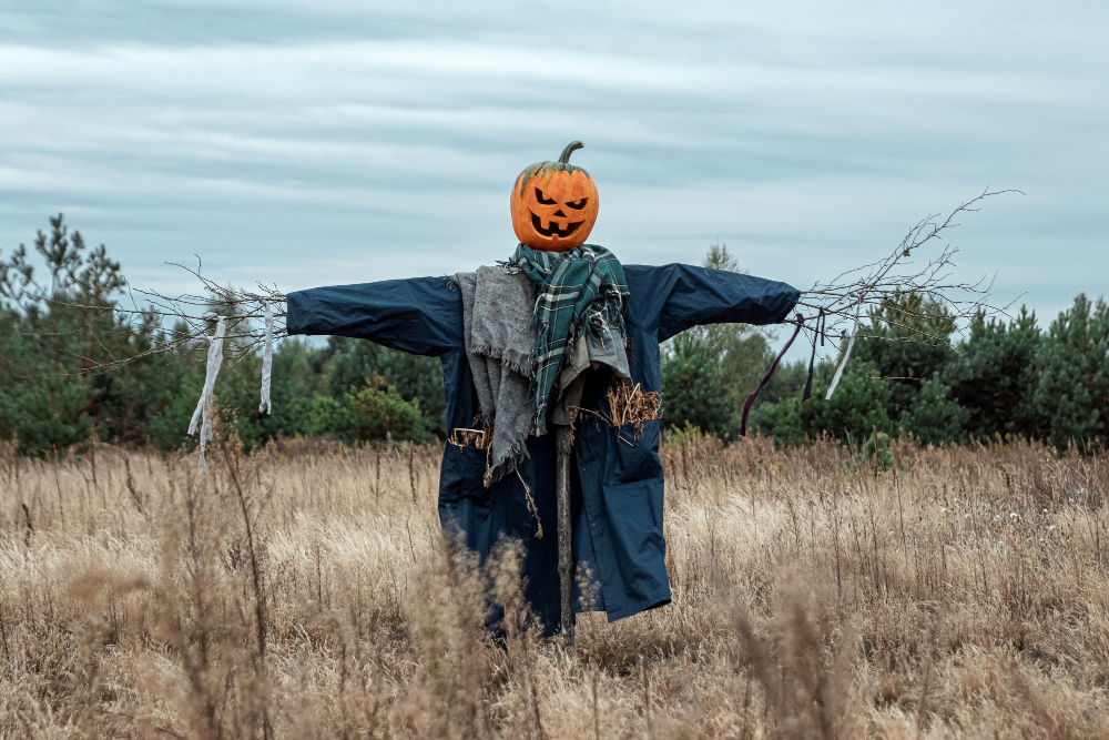 Scarecrow