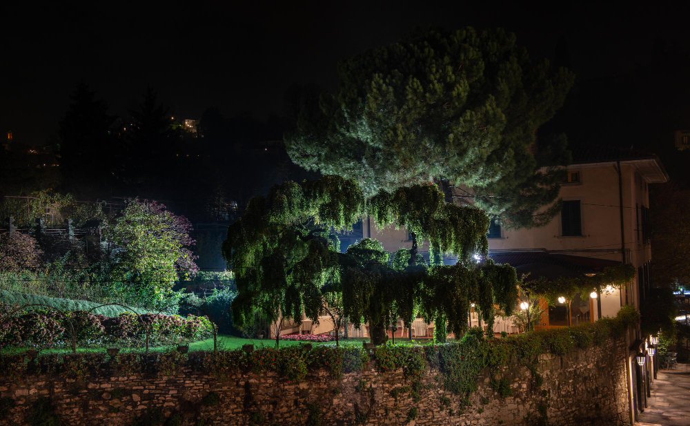 garden at night