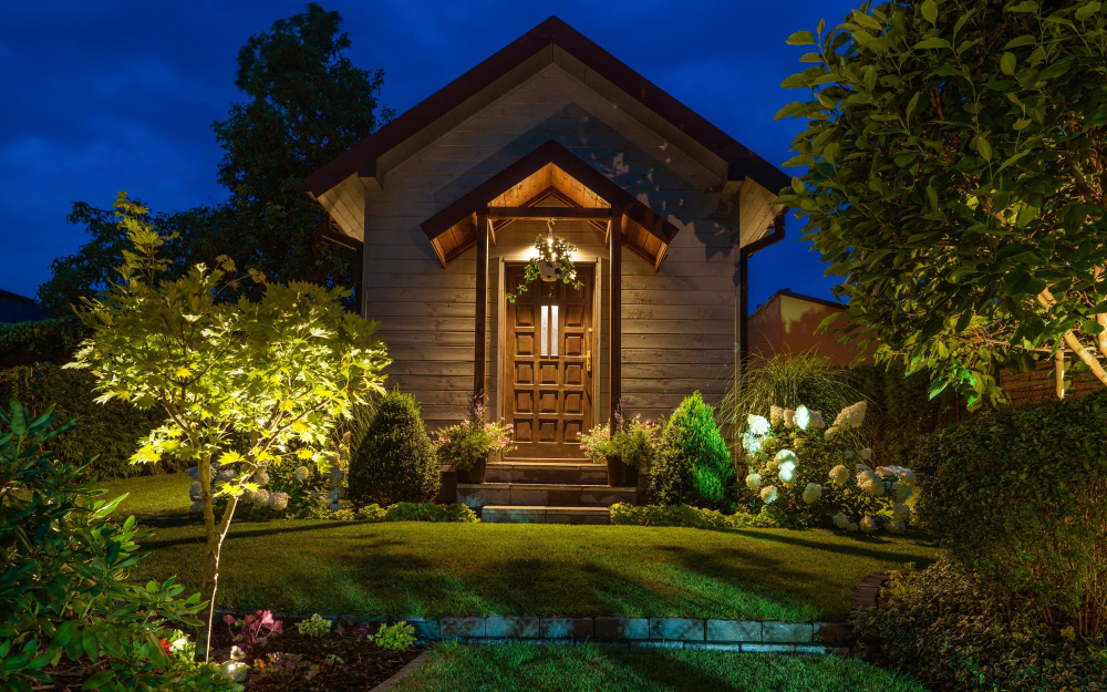 garden at night