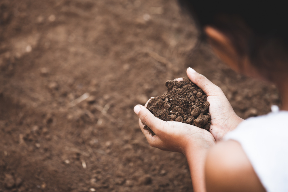 Soil