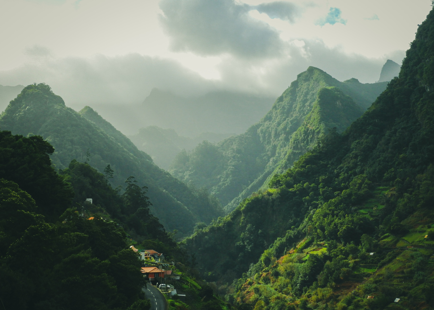 Nature