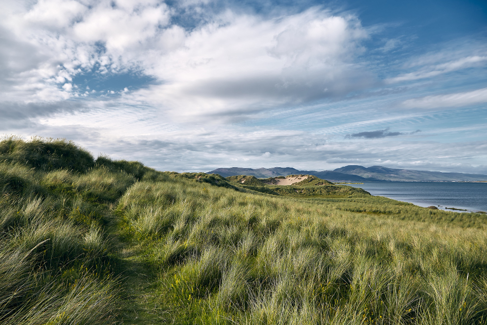 Landscape