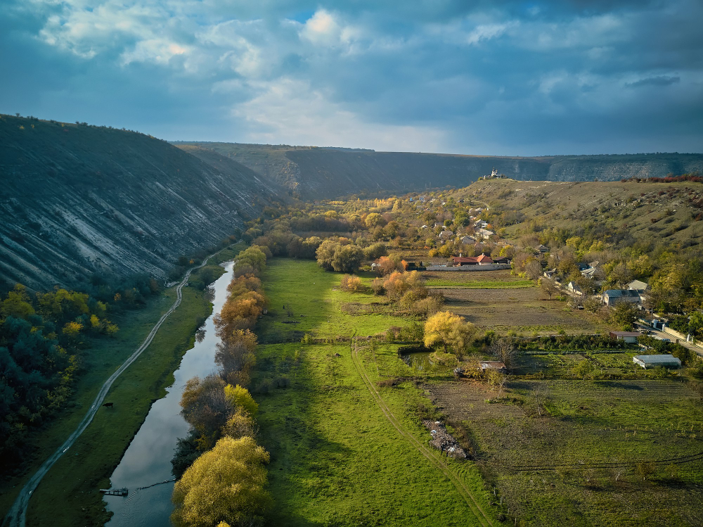 Downland
