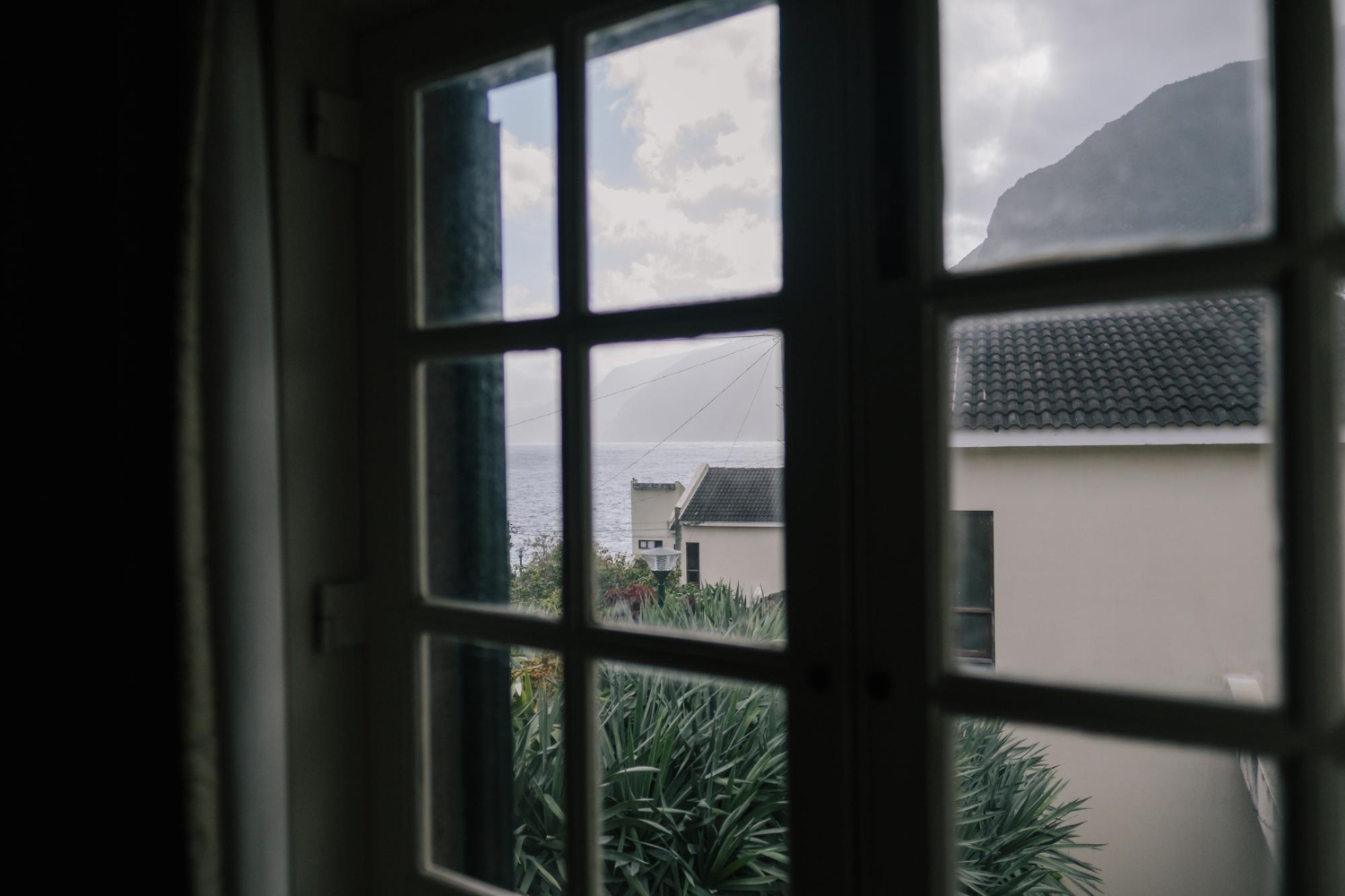 Window