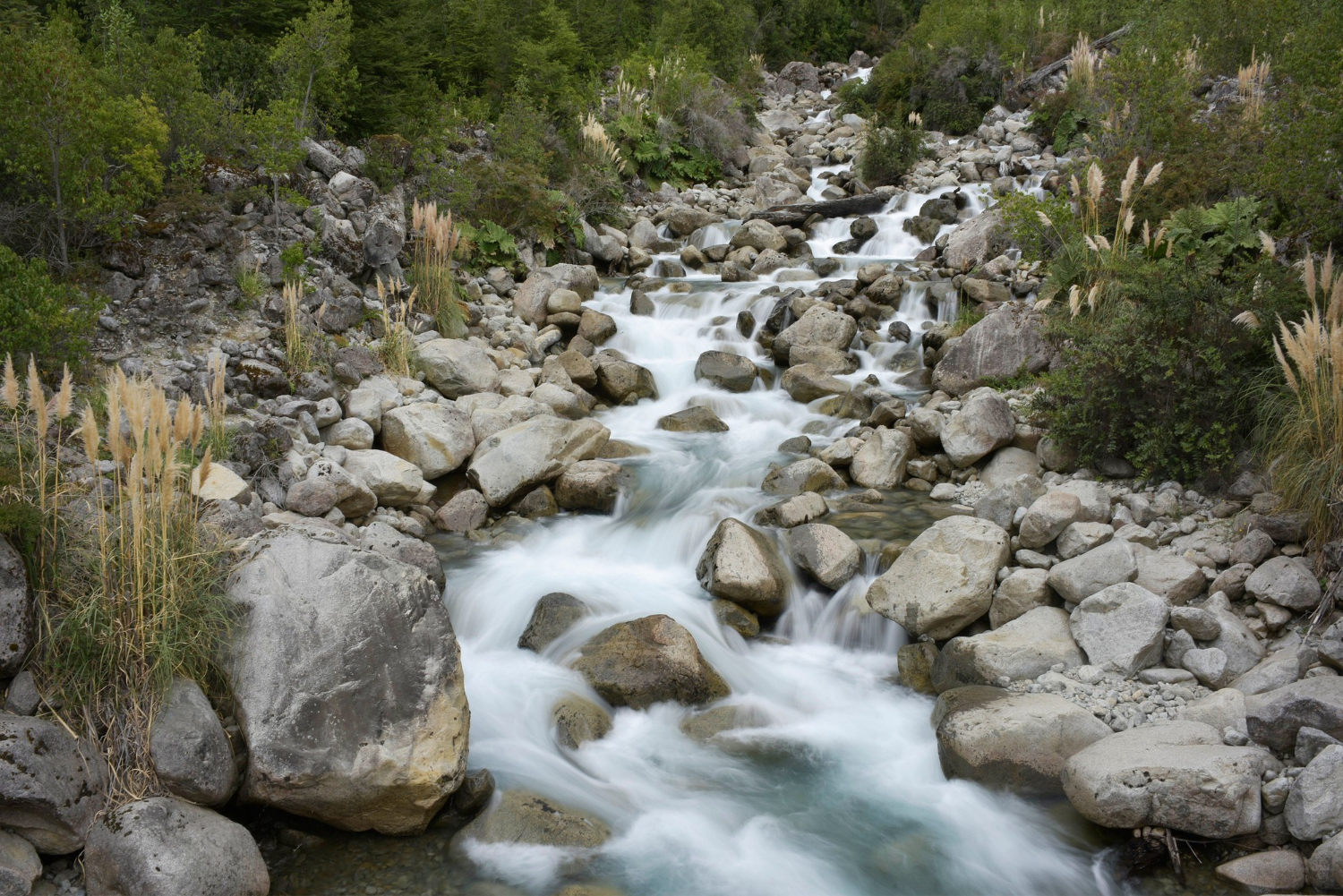 natural spring water