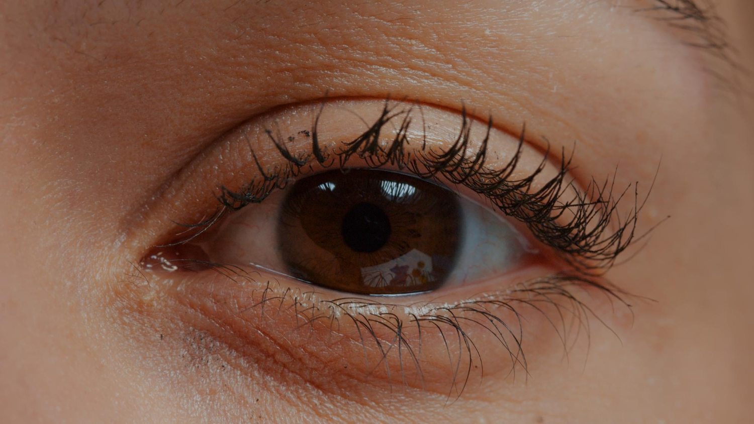 human eye close up