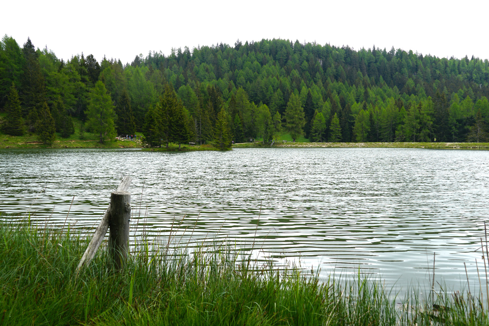 Pond