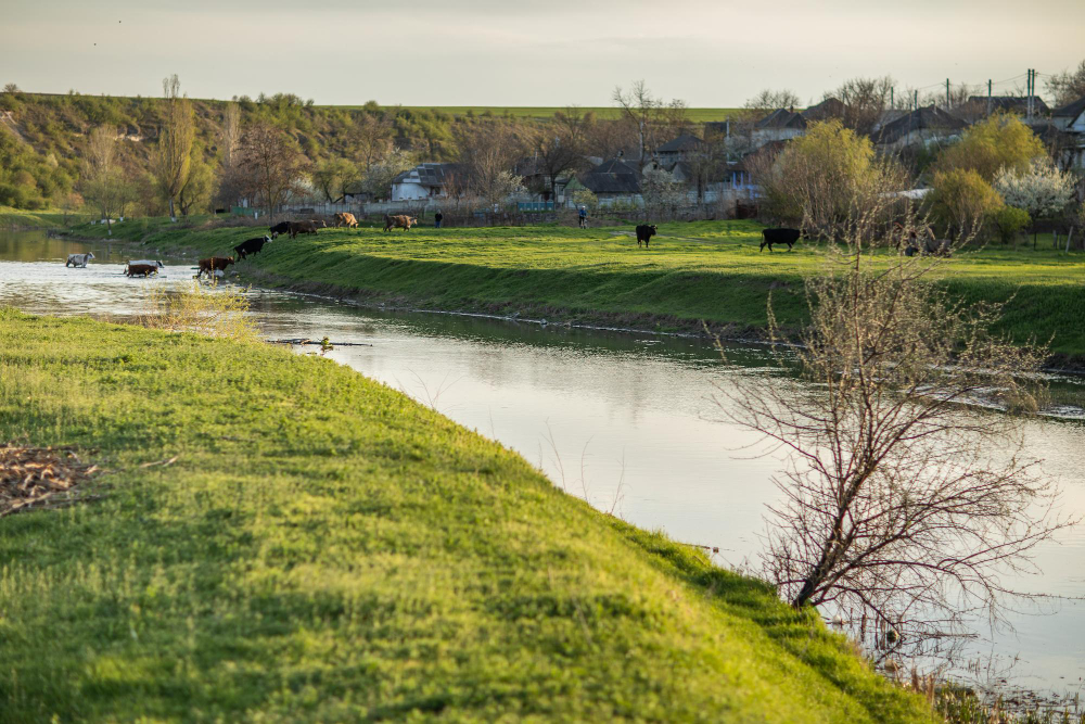 farmland canal