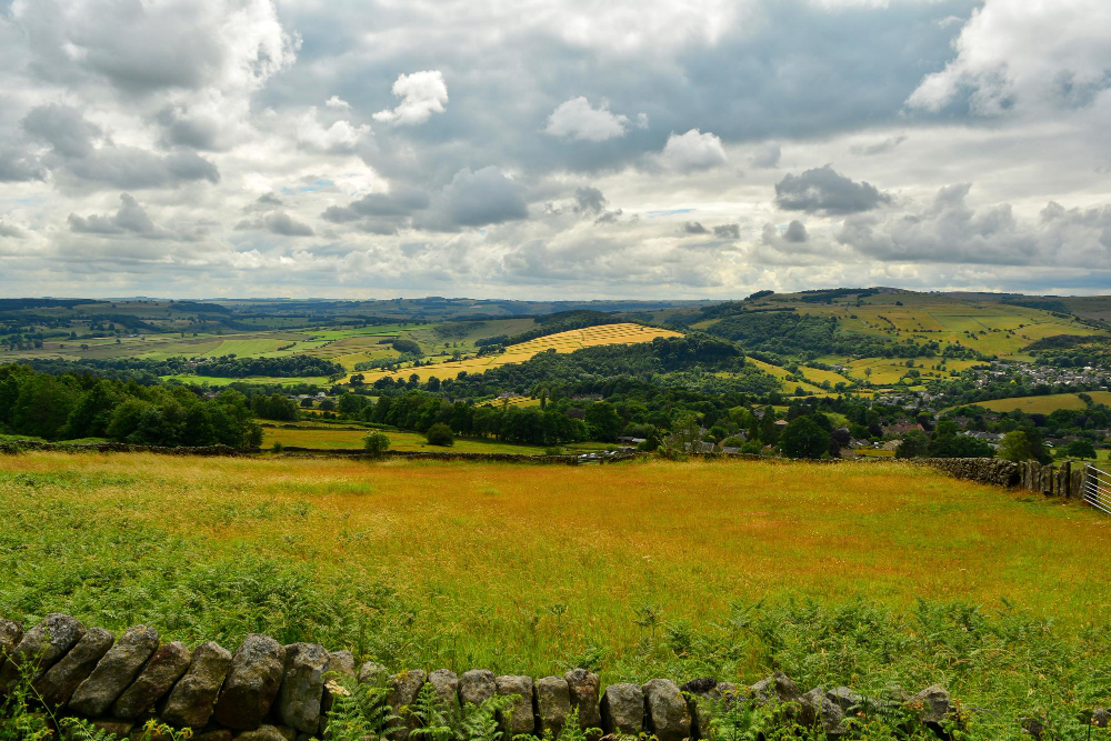 Downland