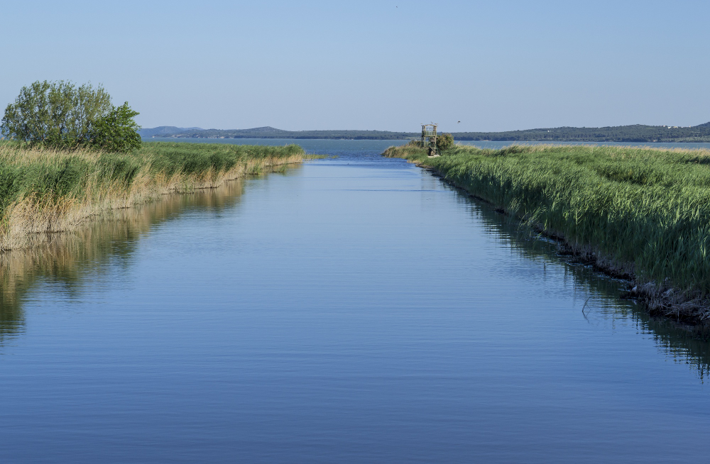 farmland canal