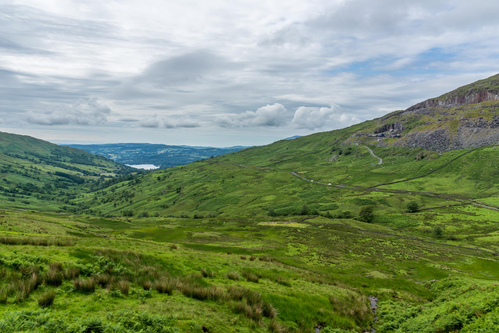 Downland