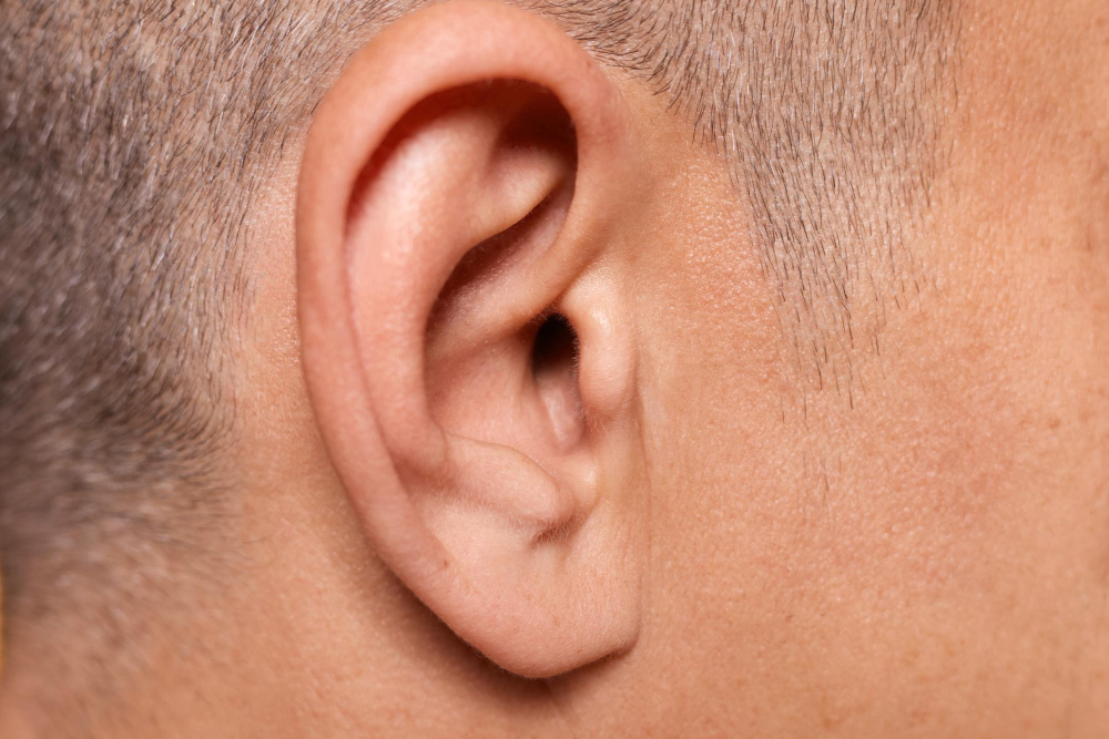 human ear