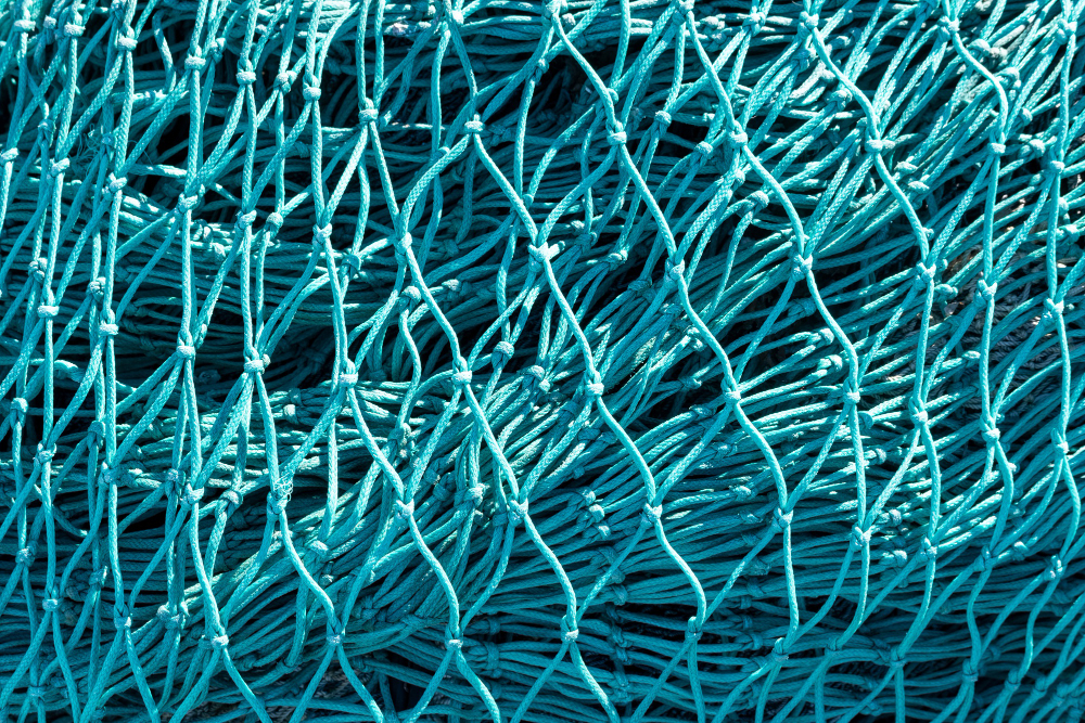 Net