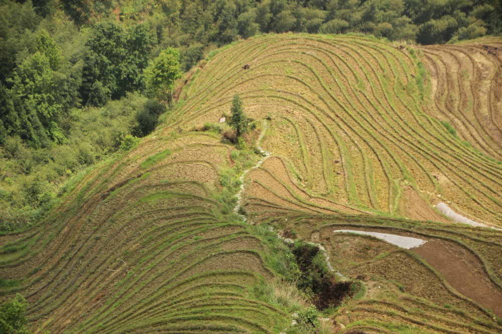 terraced hillside