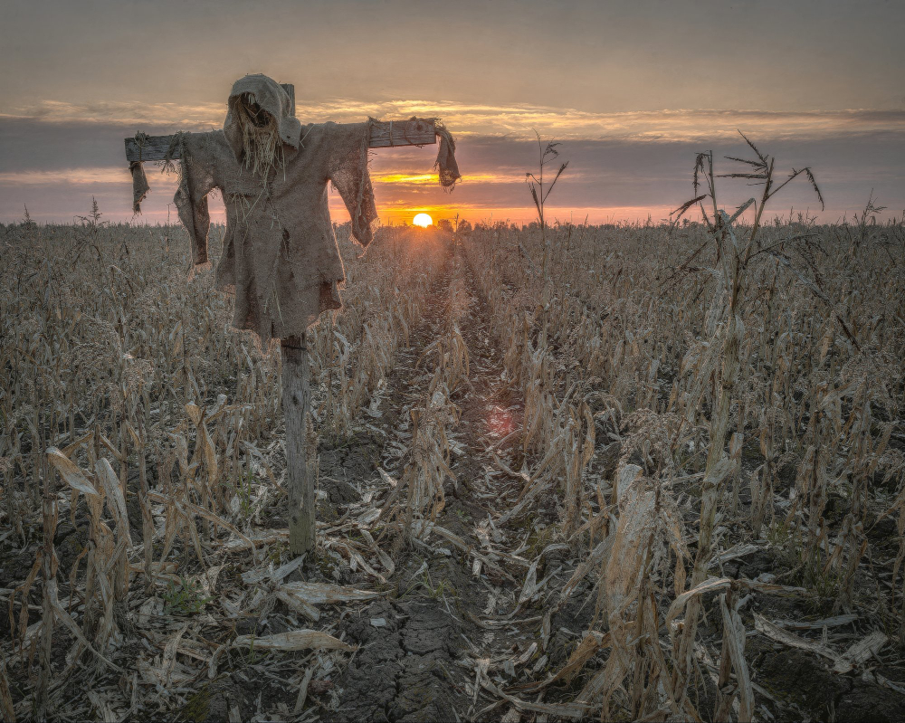 Scarecrow