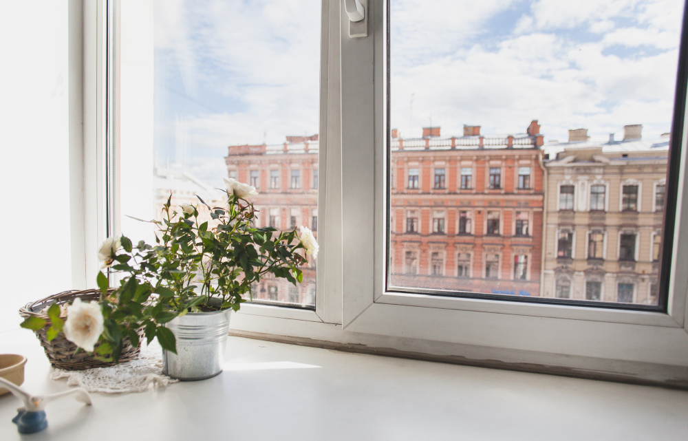 Window