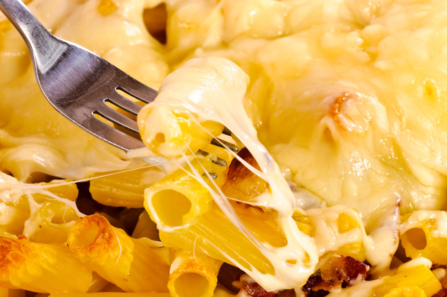 Melted Cheese