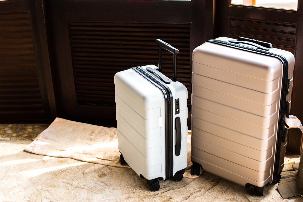 Traveler Luggage
