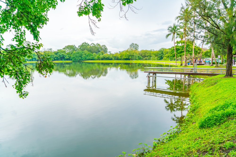 Pond