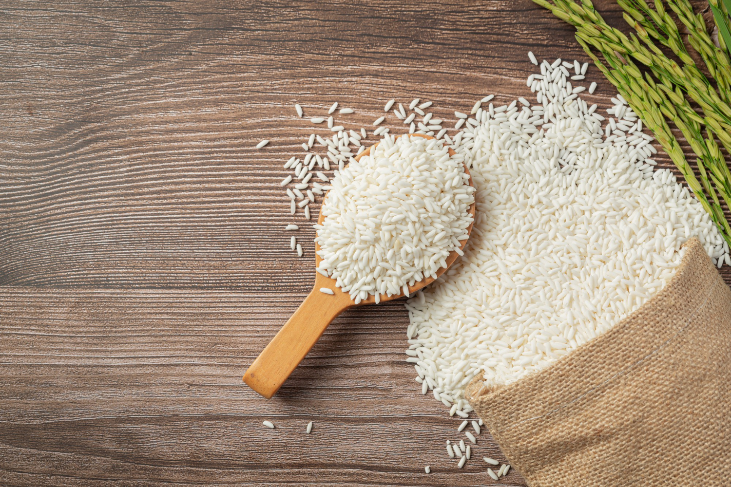 Rice