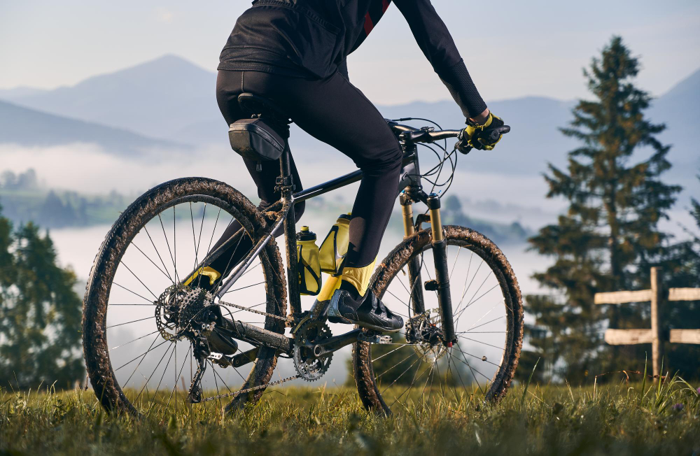 Bicycle