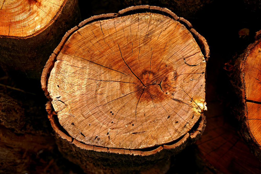 Wood