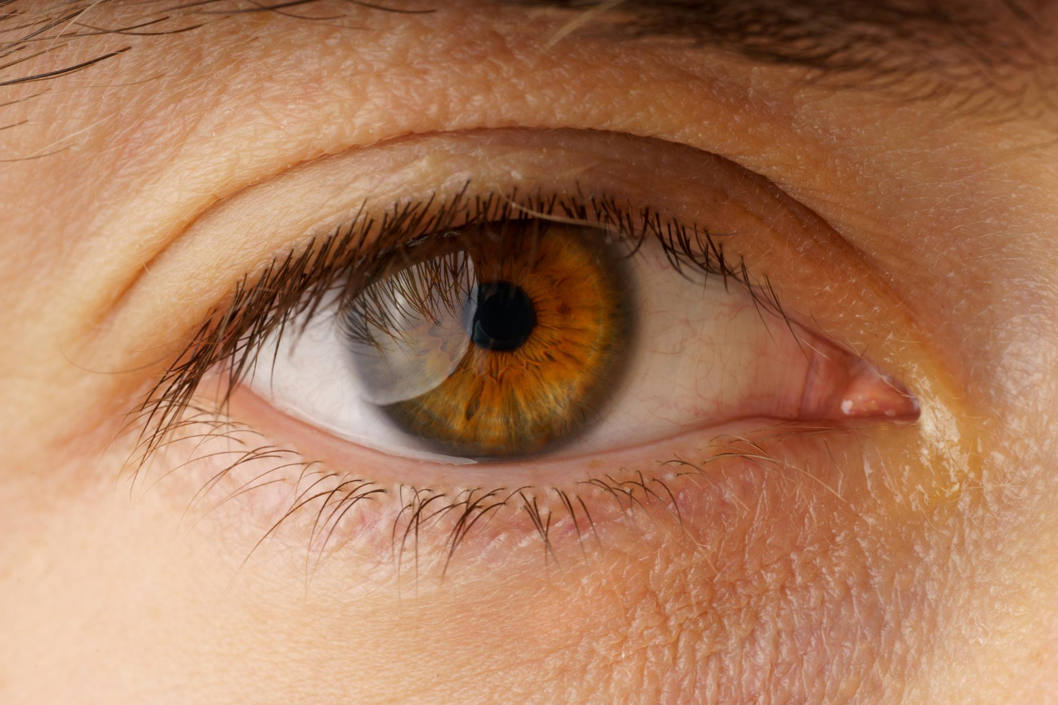 human eye close up