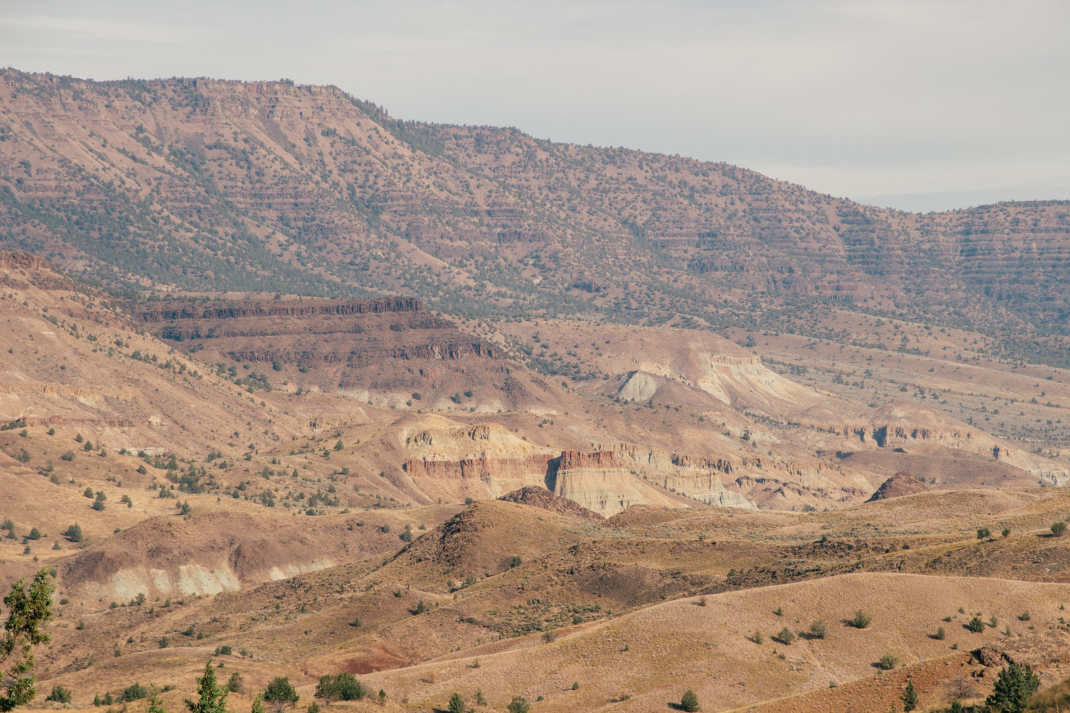 Quarry