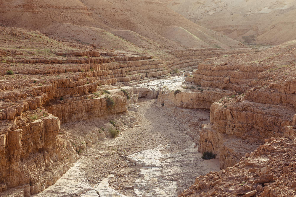 ancient track path
