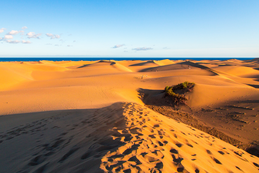 sand dunes