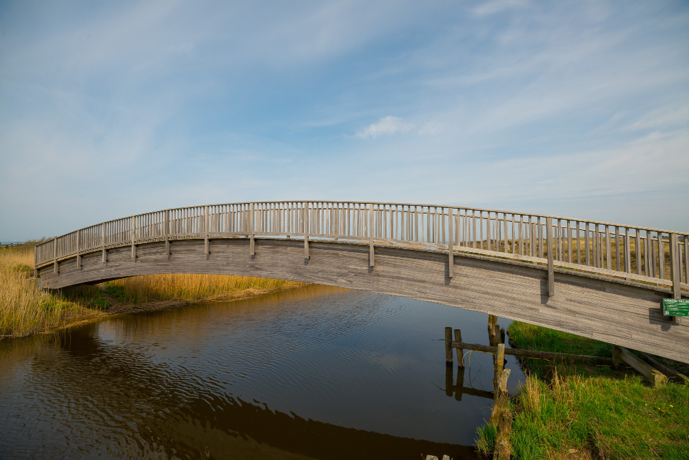 bridge