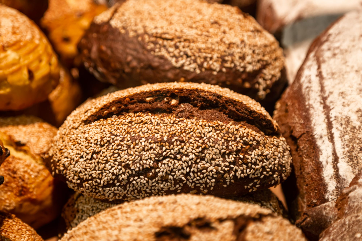 Bread