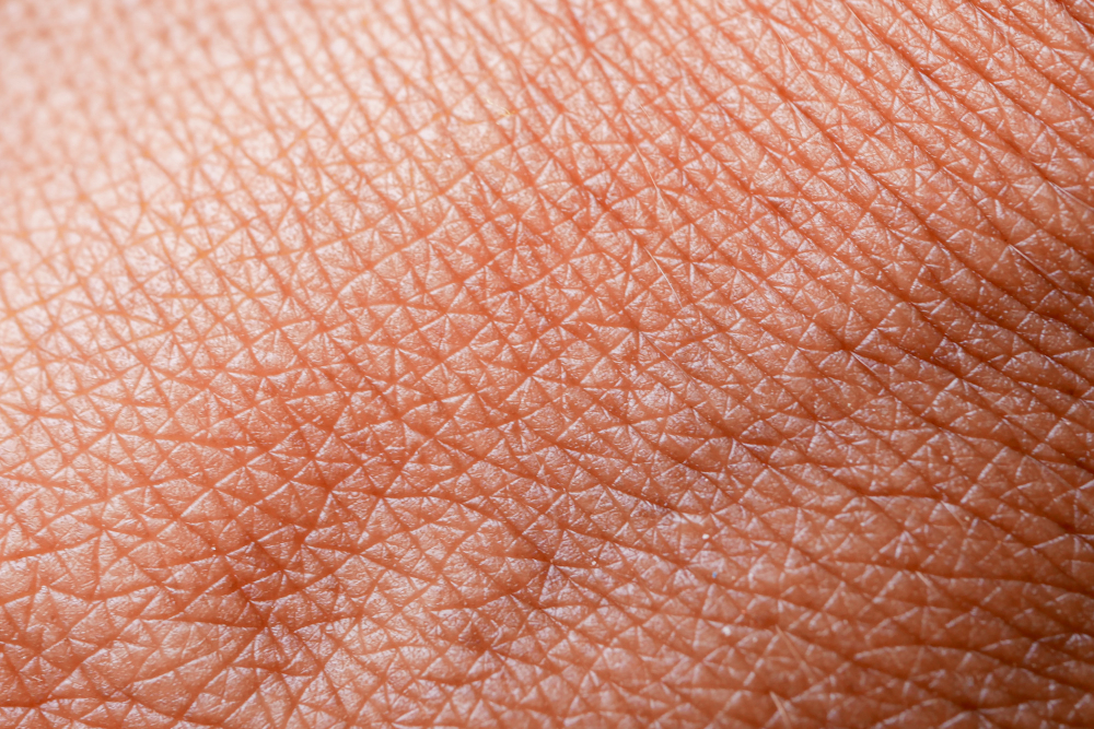 human skin