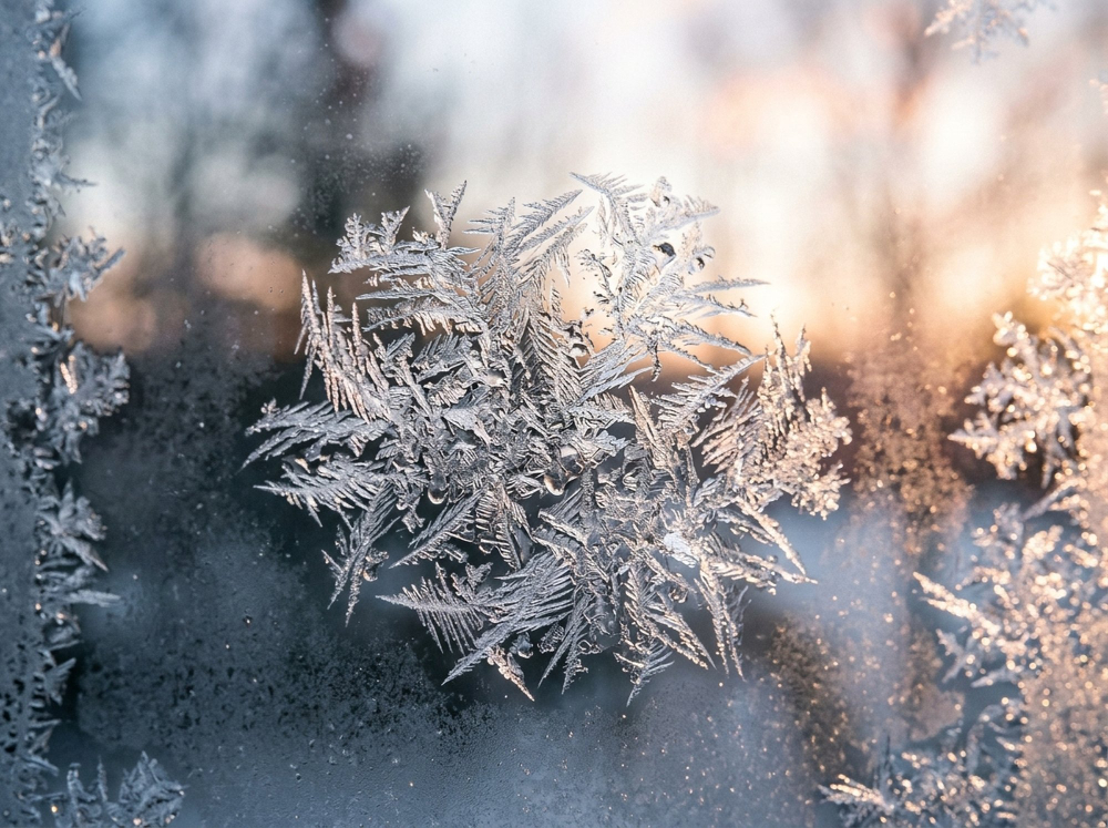 frost