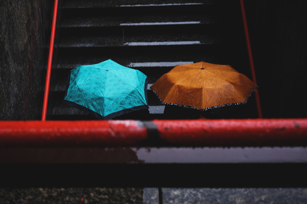 umbrella